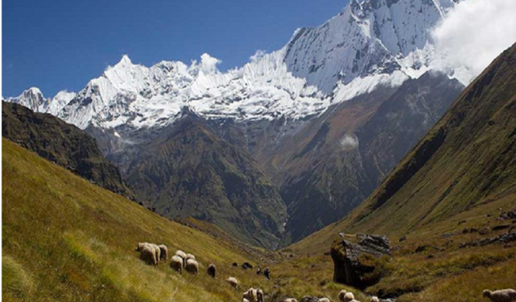 Annapurna Base Camp